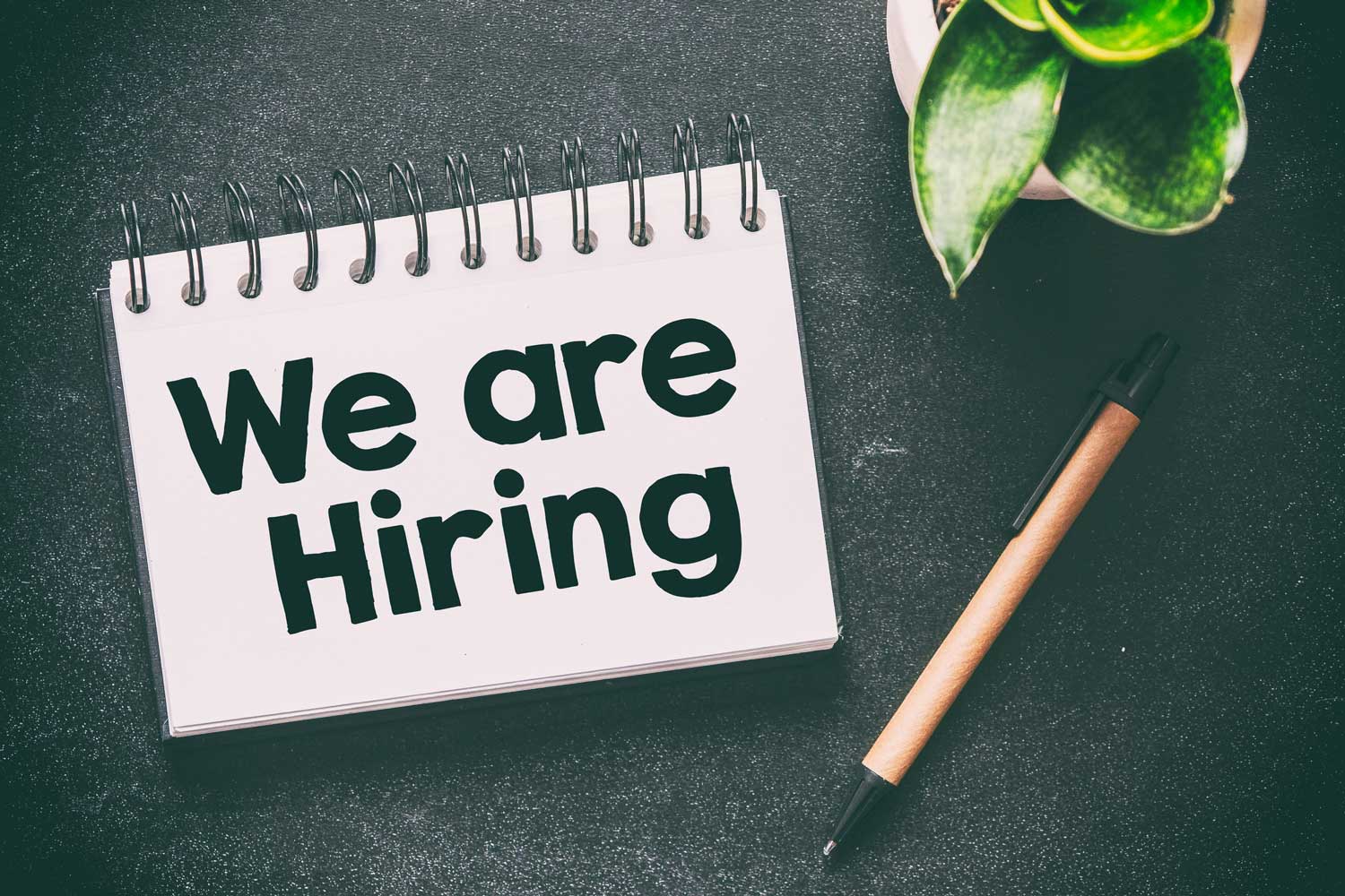 what is candidate experience